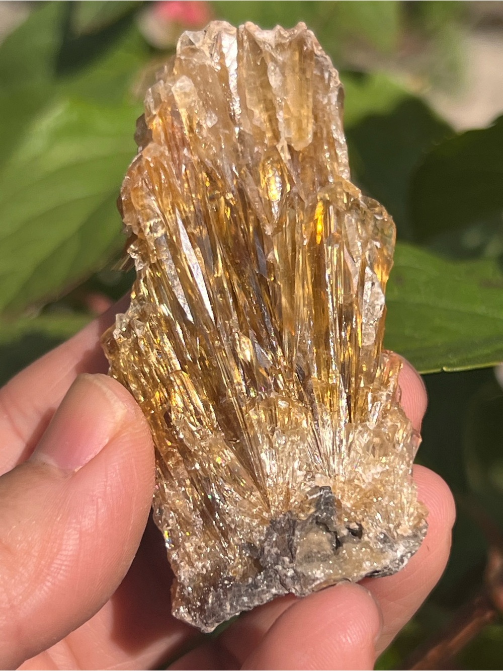 Amber (2) calcite specimen | Crystal